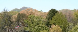 harrison oaks mountain view
